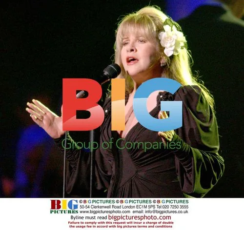 Stevie Nicks performs at Stormy Weather Benefit