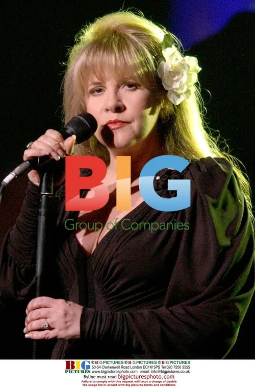 Stevie Nicks performs at Stormy Weather Benefit
