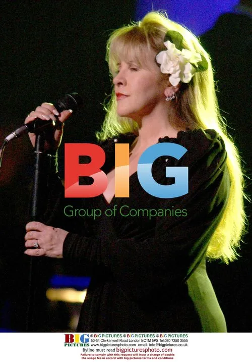 Stevie Nicks performs at Stormy Weather Benefit