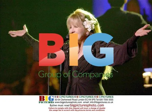 Stevie Nicks performs at Stormy Weather Benefit
