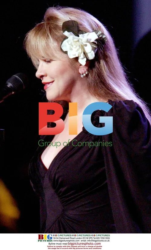 Stevie Nicks performs at Stormy Weather Benefit