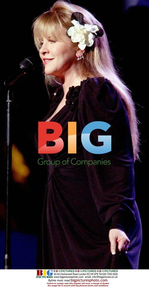 Stevie Nicks performs at Stormy Weather Benefit