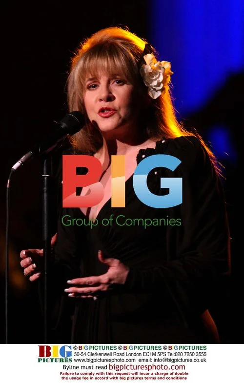 Stevie Nicks performs at Stormy Weather Benefit