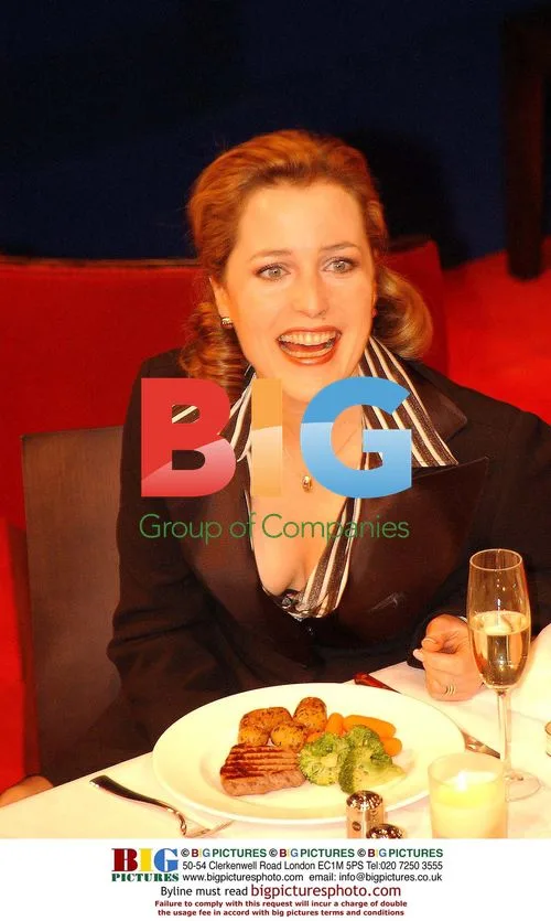 Gillian Anderson and Roger Allam at 'What the Night Is For' Photocall