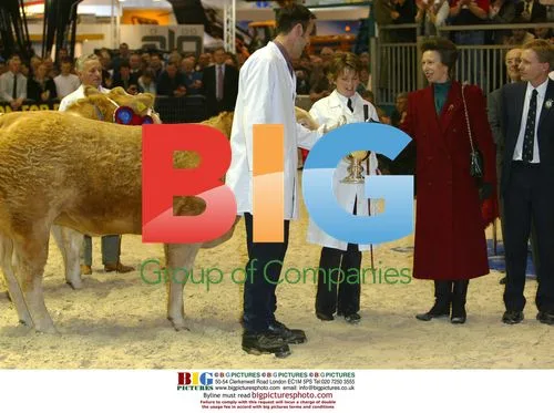Princess Anne visits 2002 Royal Smithfield Show