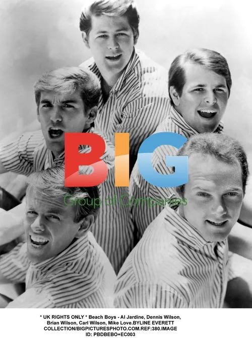 The Beach Boys Portrait