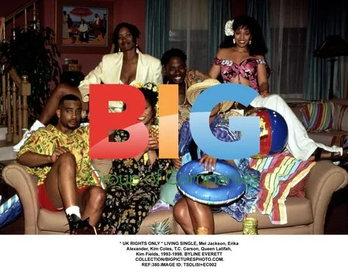 Cast Shot of Living Single