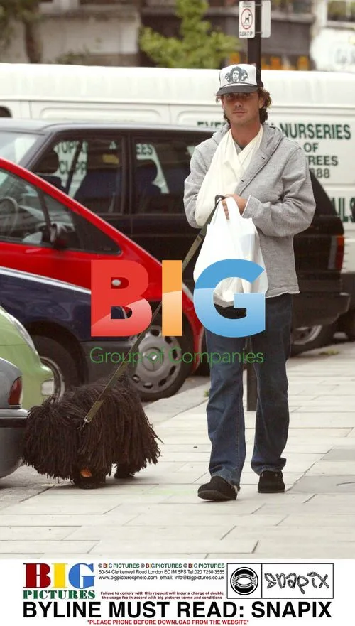 Gavin Rossdale walks dog in London
