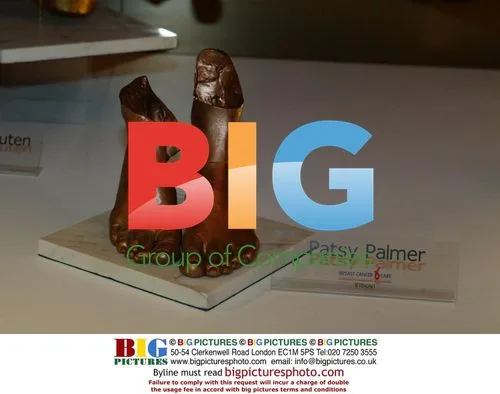 PATSY PALMER'S FEET AT BREAST CANCER CARE AUCTION