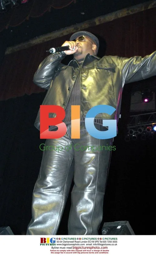 Cool Mo Dee at Artist Empowerment Coalition Concert