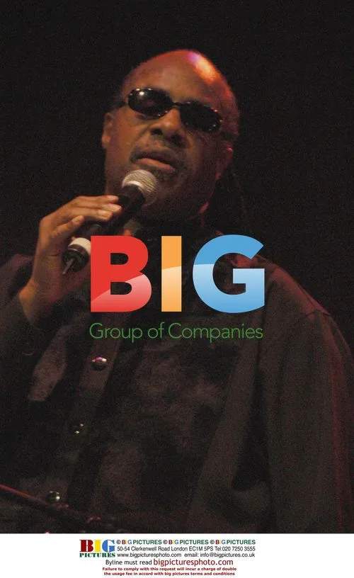 Stevie Wonder at Benefit Concert