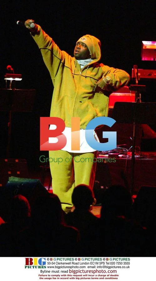 Naughty By Nature at Artist Power Concert