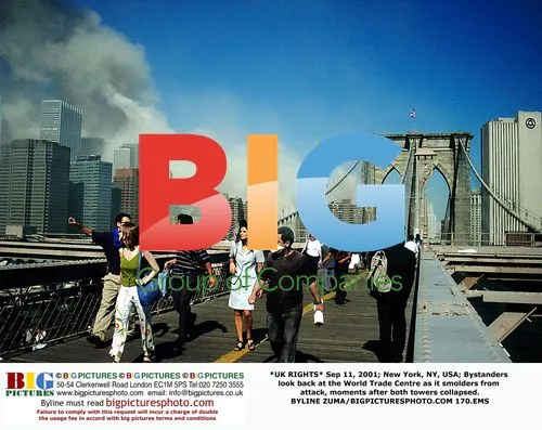 Bystanders view WTC after attacks