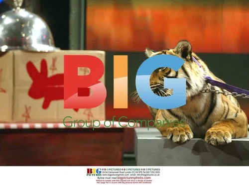 Tiger on The Tonight Show with Jay Leno