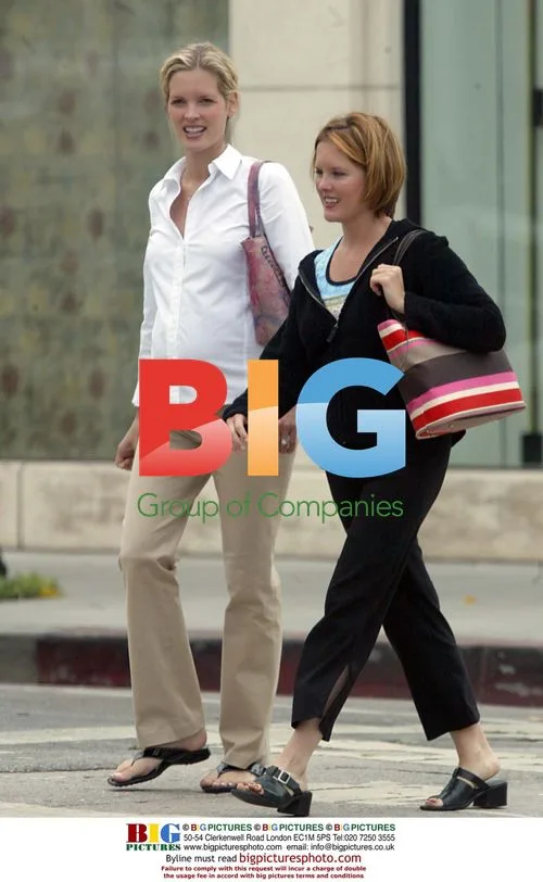 Brigette Wilson pregnant out shopping in Beverly Hills