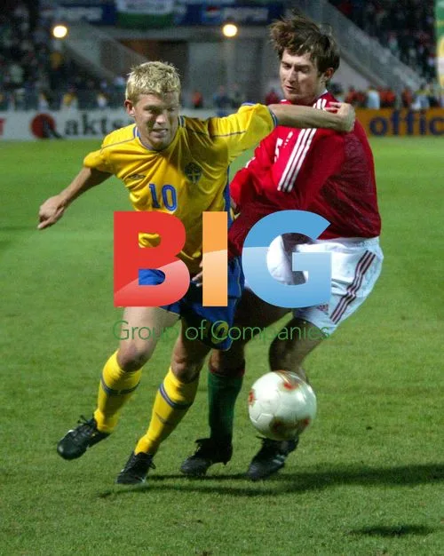 Sweden v Hungary Football Match