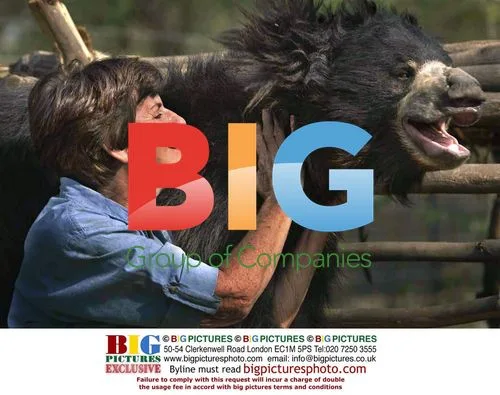 Mary Hutton meets Indian sloth bear