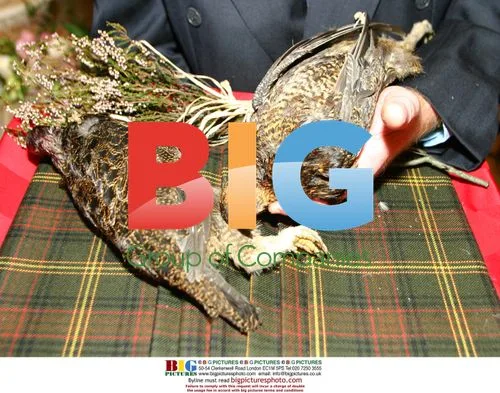 Grouse Arrival at Harrods