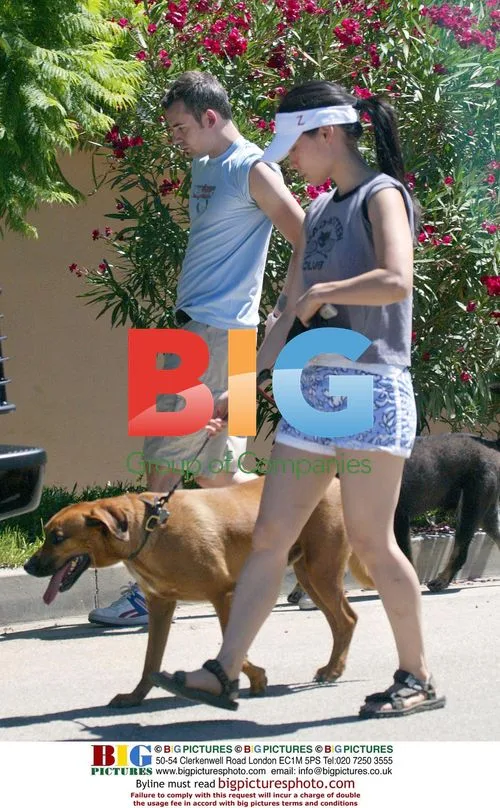 Lucy Liu and boyfriend walking dogs