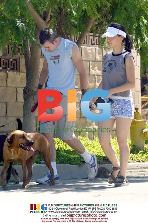 Lucy Liu walks dogs with boyfriend