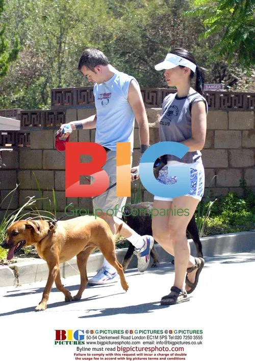 Lucy Liu walking dogs with boyfriend