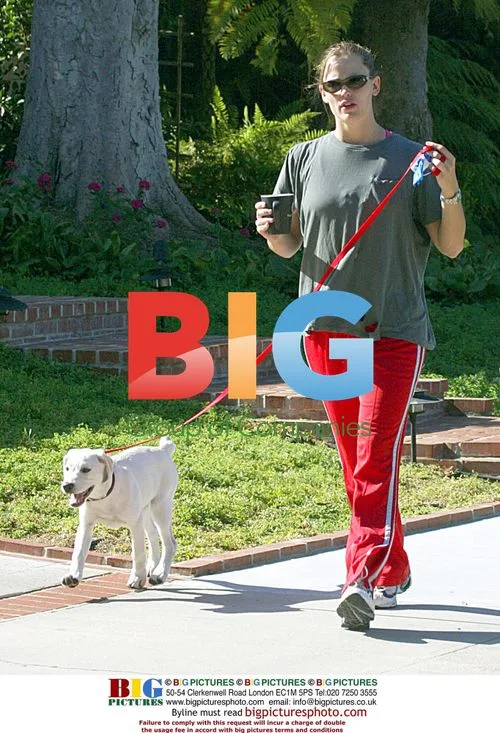 Jennifer Garner walks dog