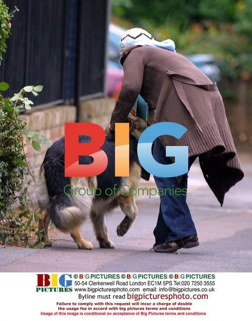 Jesse Wallace walks dog in London