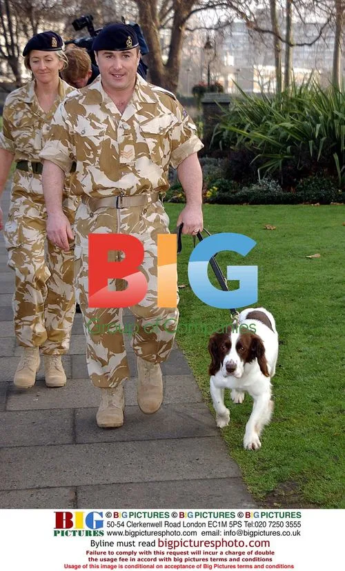 British Army Dog Awarded Victoria Cross