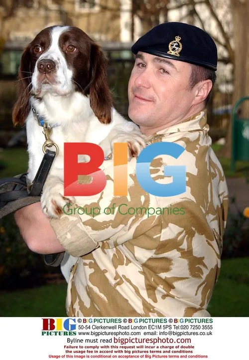 British Army Dog Awarded Victoria Cross