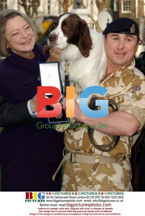 British Army Dog Awarded Victoria Cross