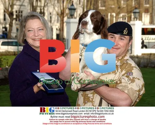 British Army Dog Awarded Victoria Cross