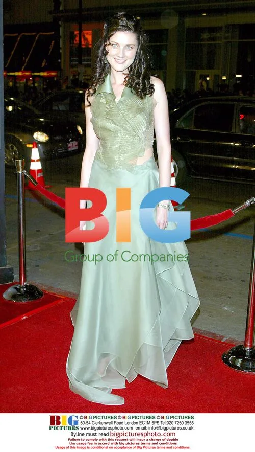 Michelle Harrison at 'Paycheck' World Premiere
