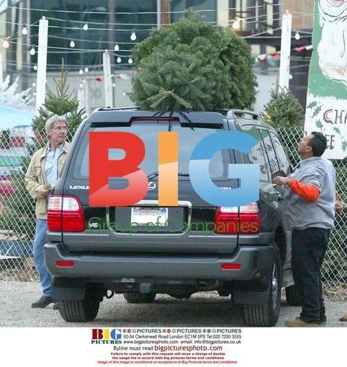Harrison Ford and Calista Flockhart with son Liam