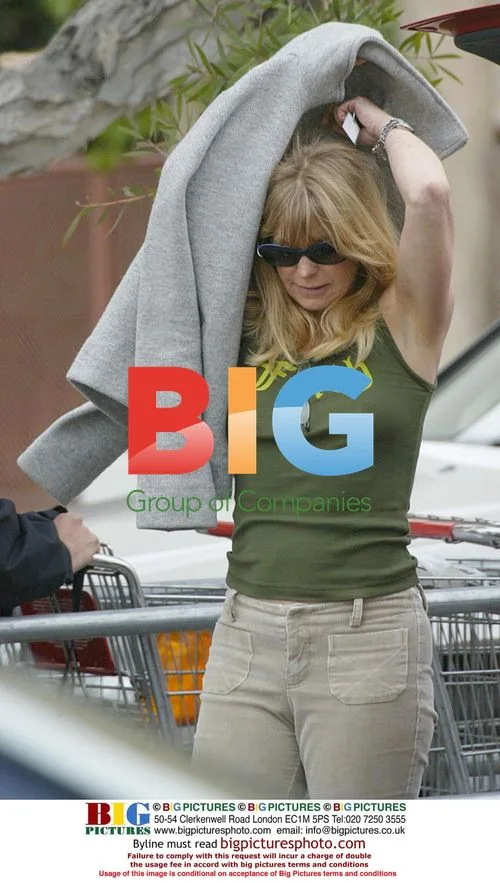 Goldie Hawn Shopping for Pregnant Daughter Kate Hudson