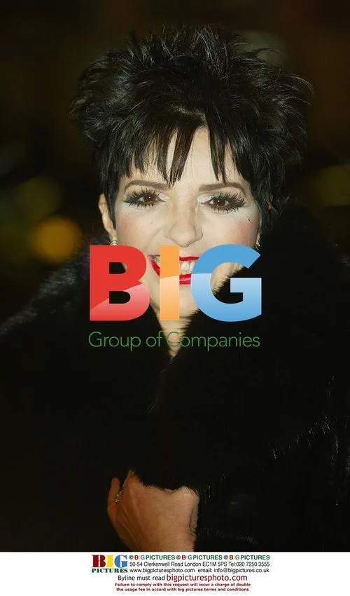Liza Minelli at BBC Golden Moments