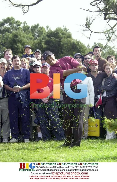 Tiger Woods wins Buick Invitational