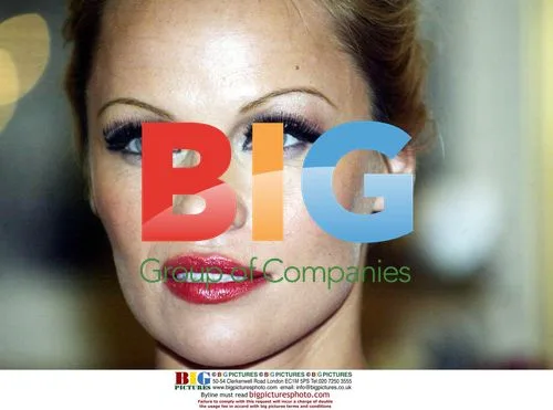 Pamela Anderson at Vienna Opera Ball