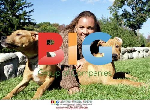 Vanessa L. Williams with dog at home