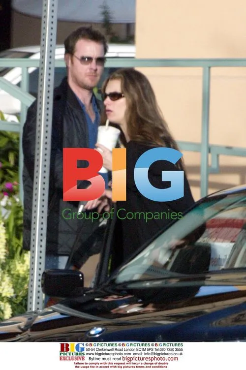 Brooke Shields pregnant, helped by husband