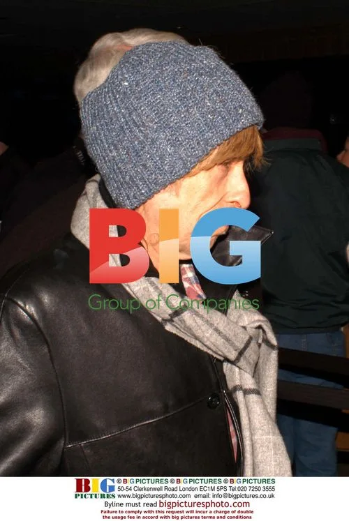 Bob Dylan at 'Masked & Anonymous' premiere