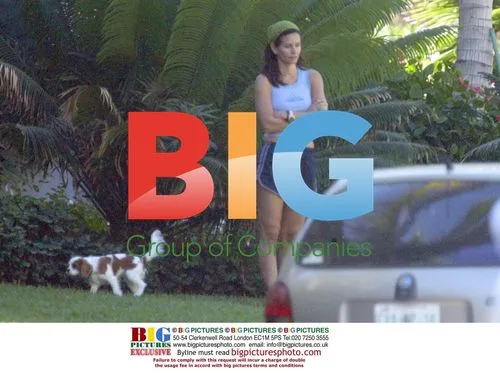 Pitt, Aniston, Cox and Arquette Ring in New Year in Mexico