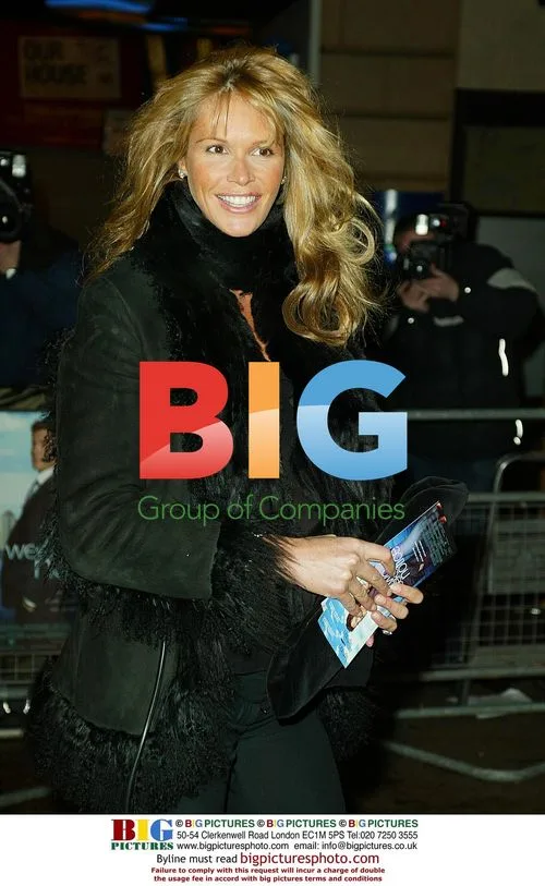 Pregnant Elle Macpherson at 'Two Weeks Notice' Premiere