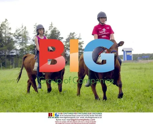 Swedish Girls Ride Calves