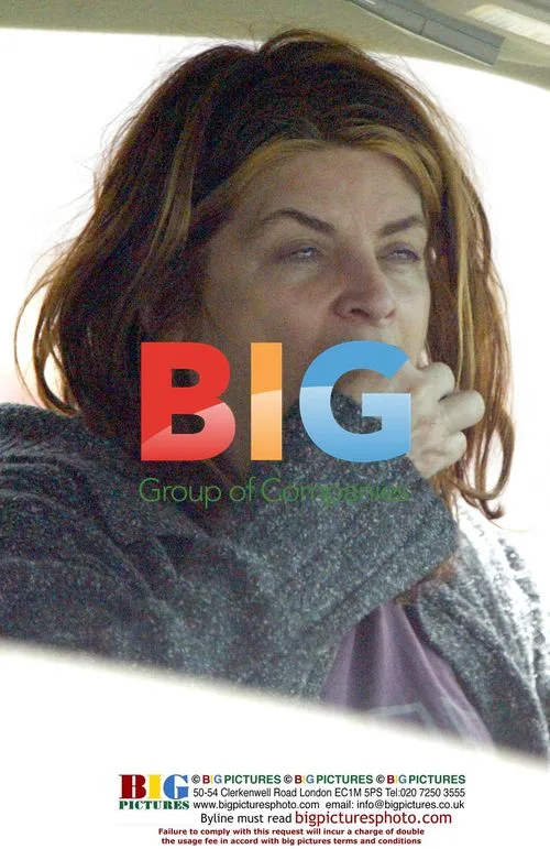 Kirstie Alley grocery shopping in Hollywood