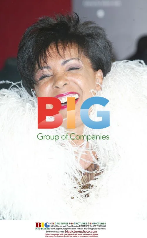 Shirley Bassey Auctions Party Frocks