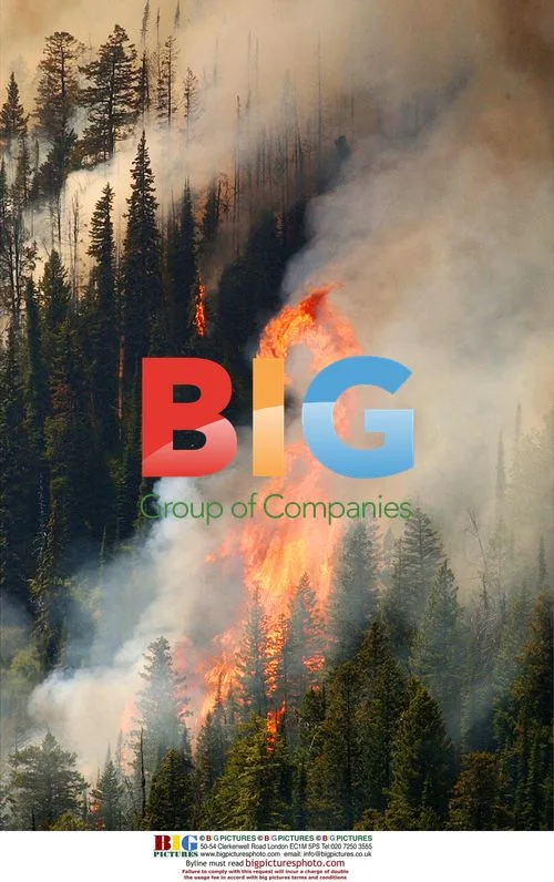 Wildfire in Polebridge, MT