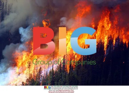 Wedge Canyon fire burns in Montana