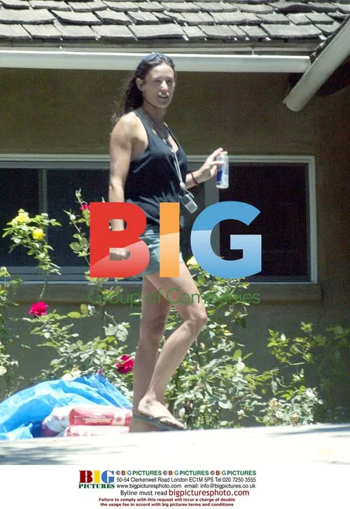 Demi Moore and Ashton Kutcher Remodeling House