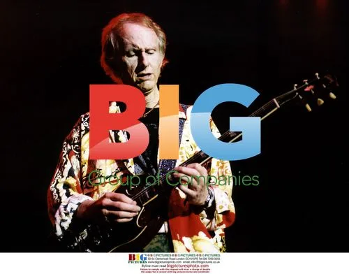Robbie Krieger of The Doors Onstage