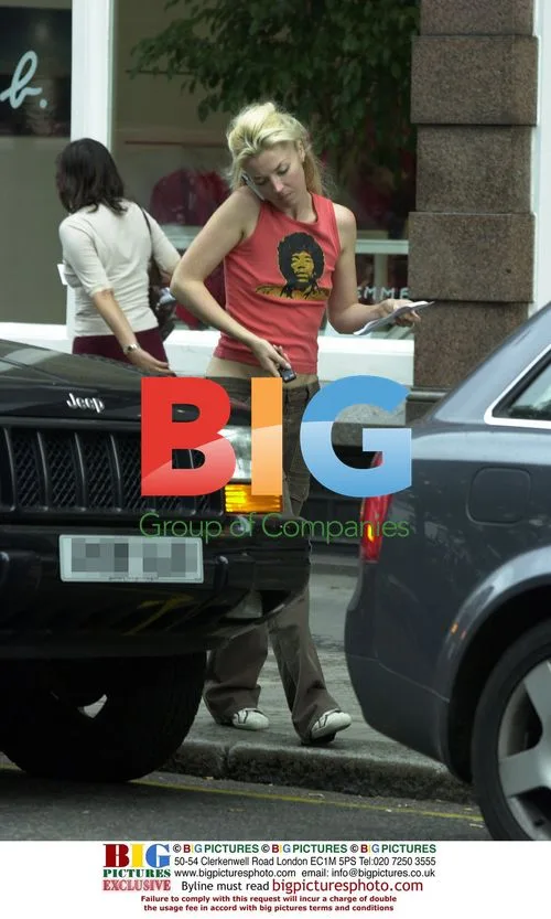 Tamara Beckwith gets parking ticket